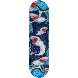 Shark deck - Klon Kanadyjski